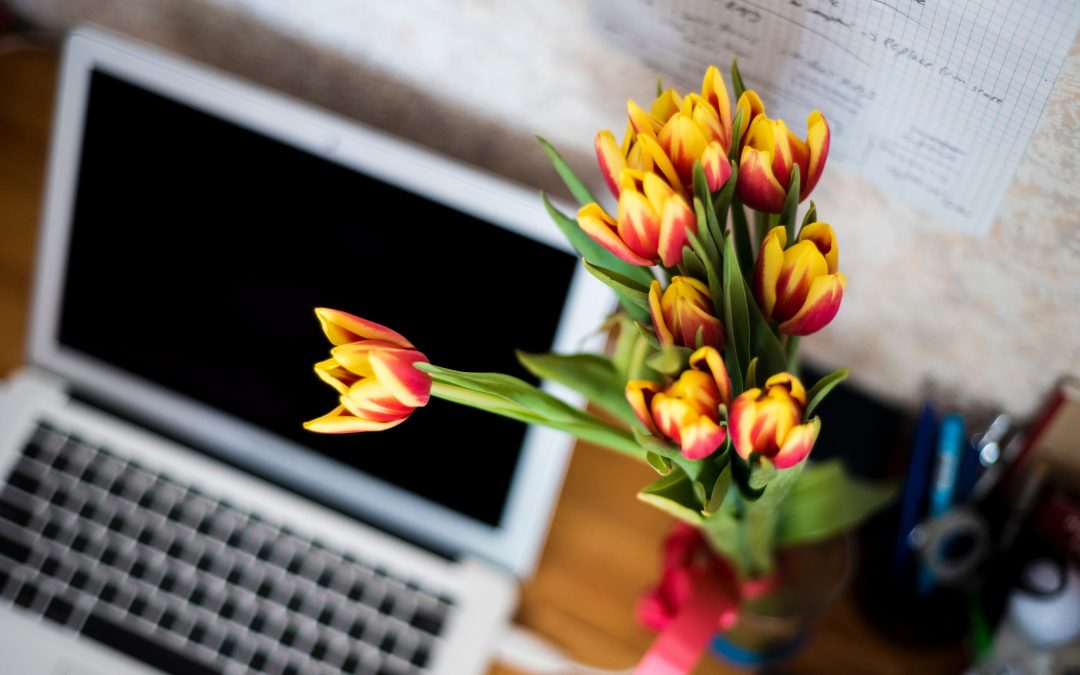 Should You Be Blogging?
